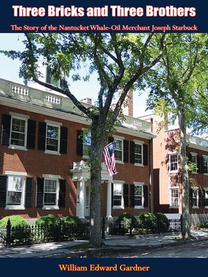 cover image of Three Bricks and Three Brothers